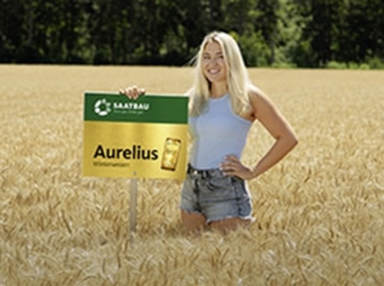 Auelius - Saatbau