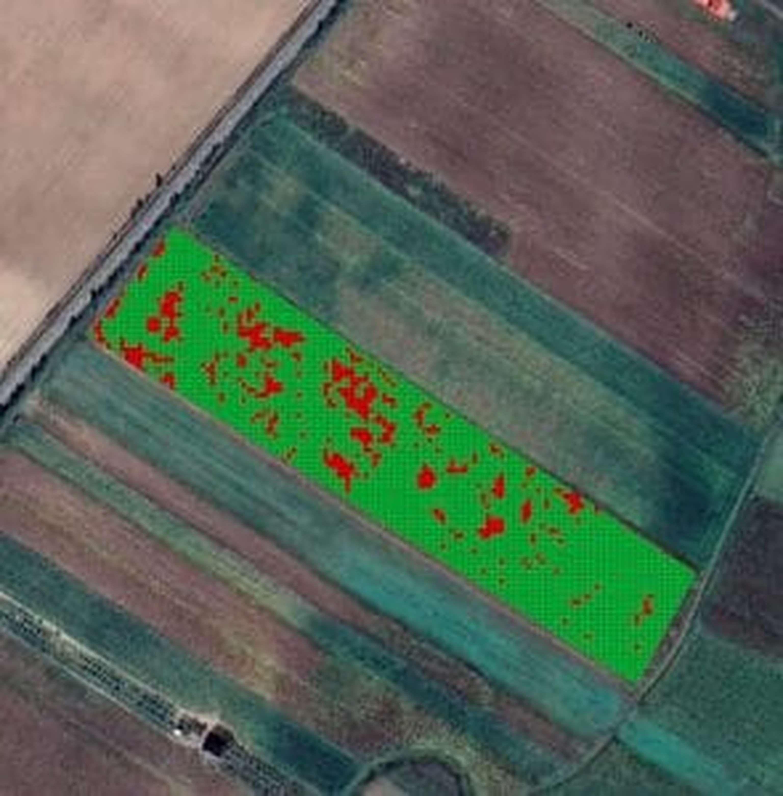 Applikationskarte zur Unkrautbekämpfung, erstellt mittels Drohnenfotos.