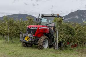 Auf der Austro Vin ist der MF 3700 besonders günstig.