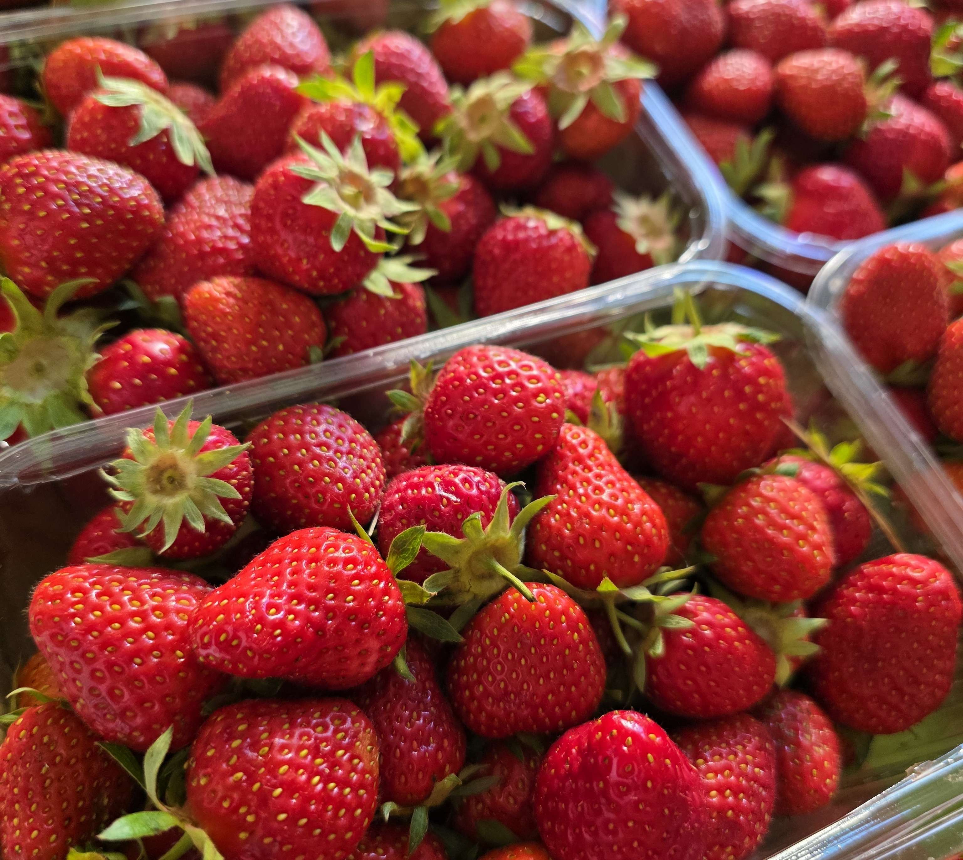 Frische, rote Erdbeeren mit grünen Blättern in mehreren transparenten Kunststoffschalen auf einem Marktstand.