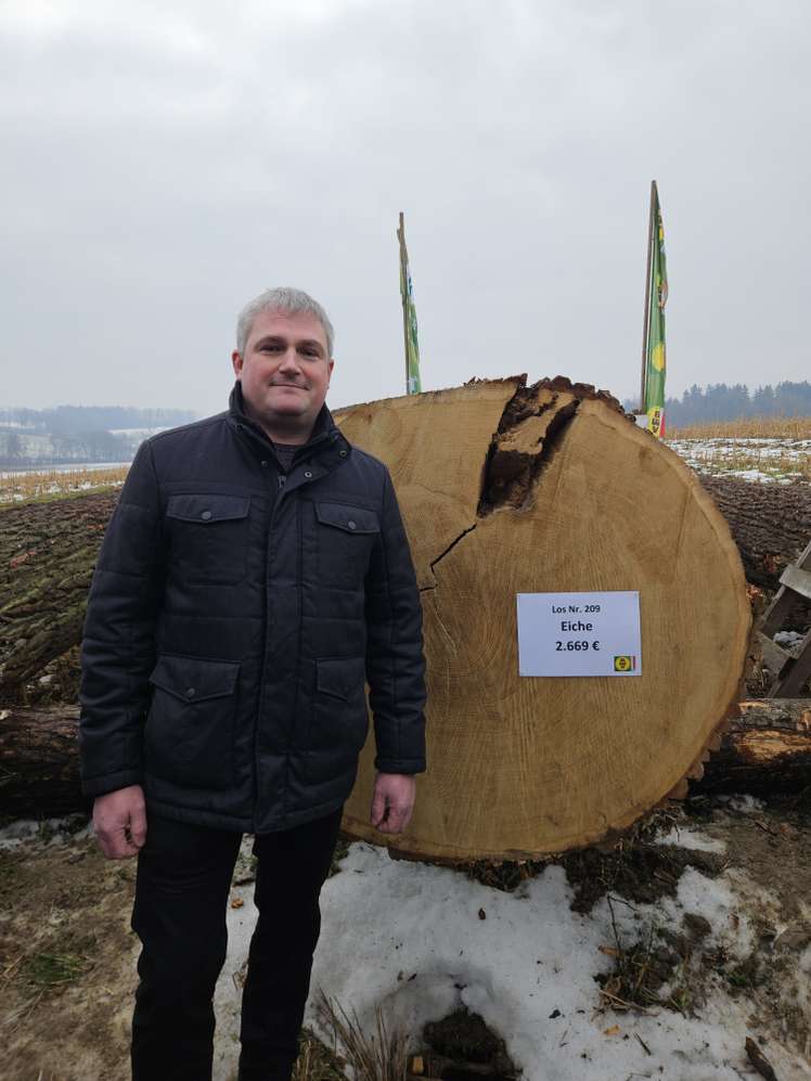 Sieger mit Stamm bei Laubholzsubmission