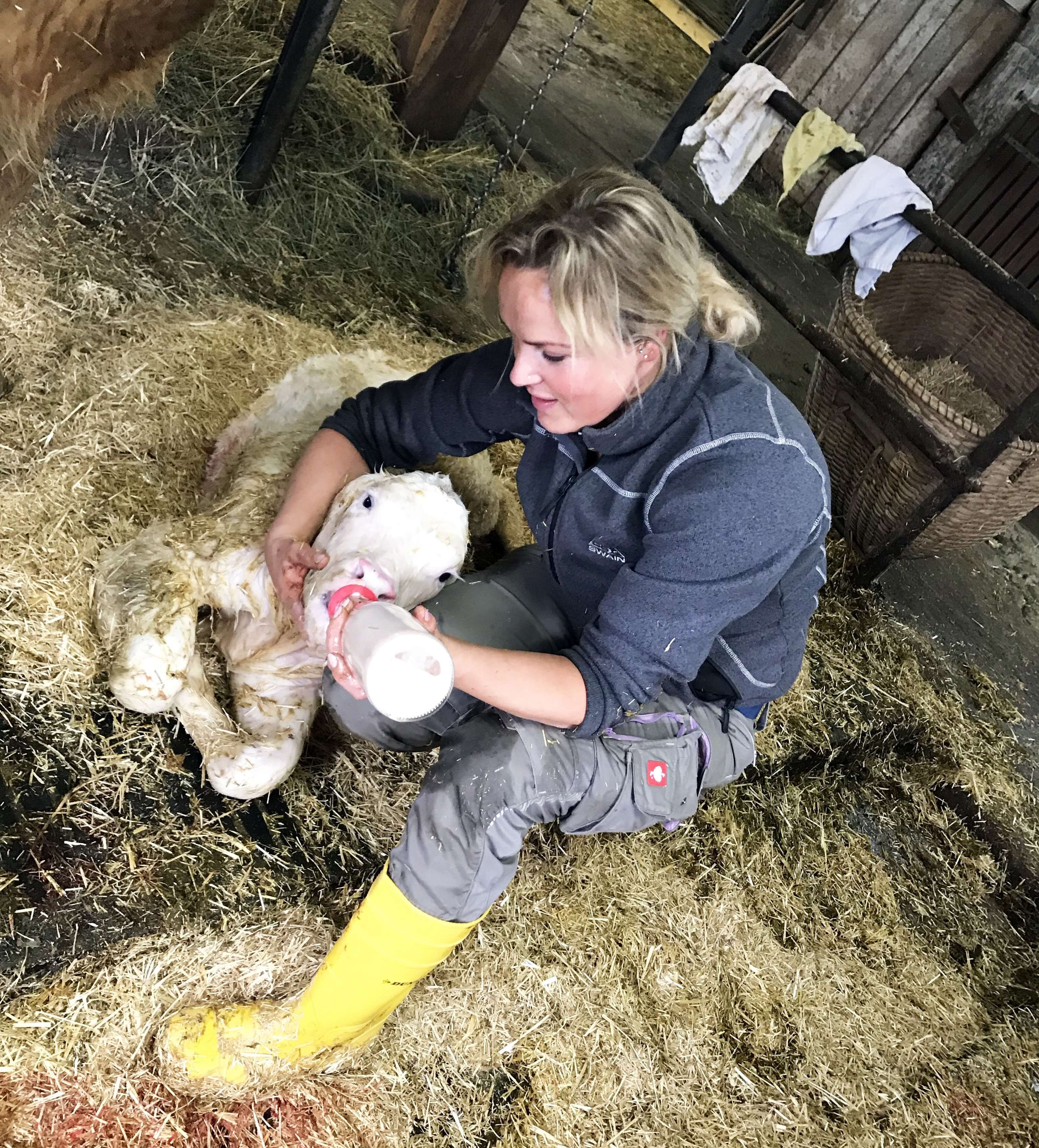 Barbara Egger mit einem Kalb