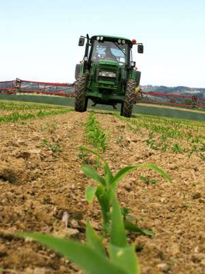 Traktor auf dem Feld