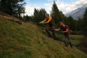 Zwei Männer ziehen gemeinsam an einem Seil einen Baumstamm einen steilen Berghang hinauf, im Hintergrund Alpenlandschaft.