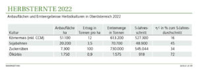Anbauflächen und Ernteergebnisse Herbstkulturen in Oberösterreich 2022