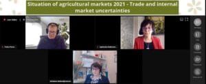 Copa-Präsidentin Christiane Lambert und Cogeca-Vizepräsidentin Agnieszka Maliszewska beim Online-Pressgespräch.