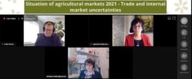 Copa-Präsidentin Christiane Lambert und Cogeca-Vizepräsidentin Agnieszka Maliszewska beim Online-Pressgespräch.