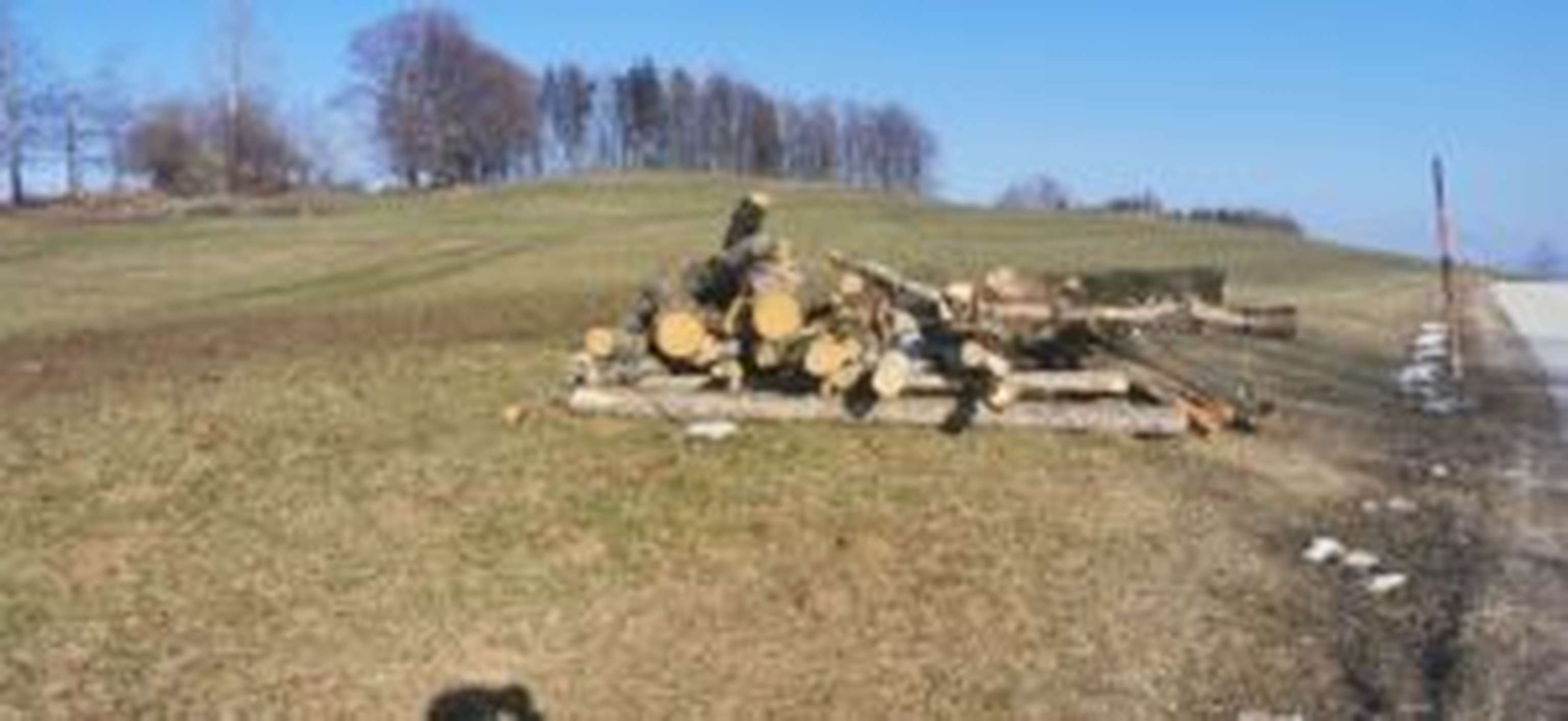 Fahrspuren am Waldrand oder auf Holzlagerplätzen müssen rekultiviert werden.