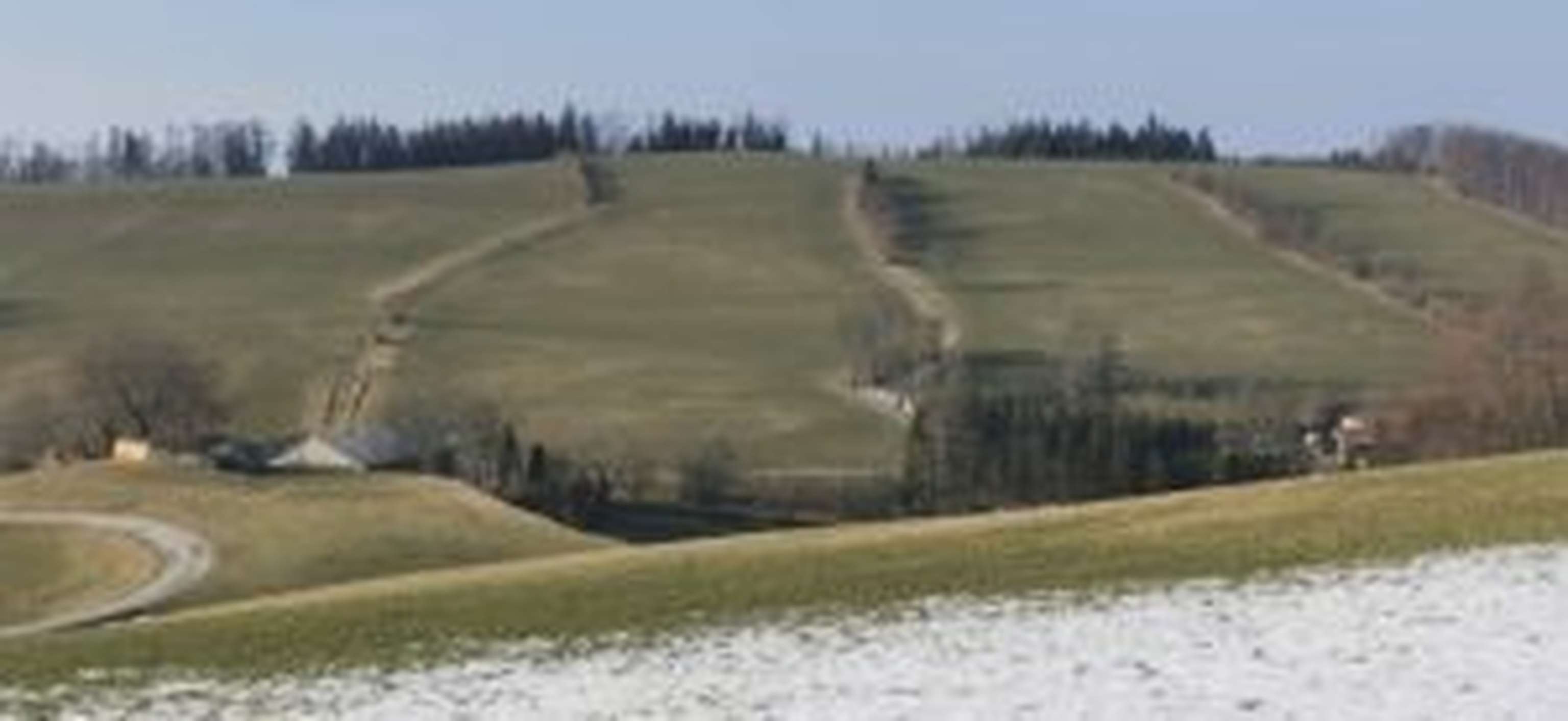 Bereits im zeitigen Frühjahr kommen Schwachstellen in Dauergrünlandbeständen ans Licht.