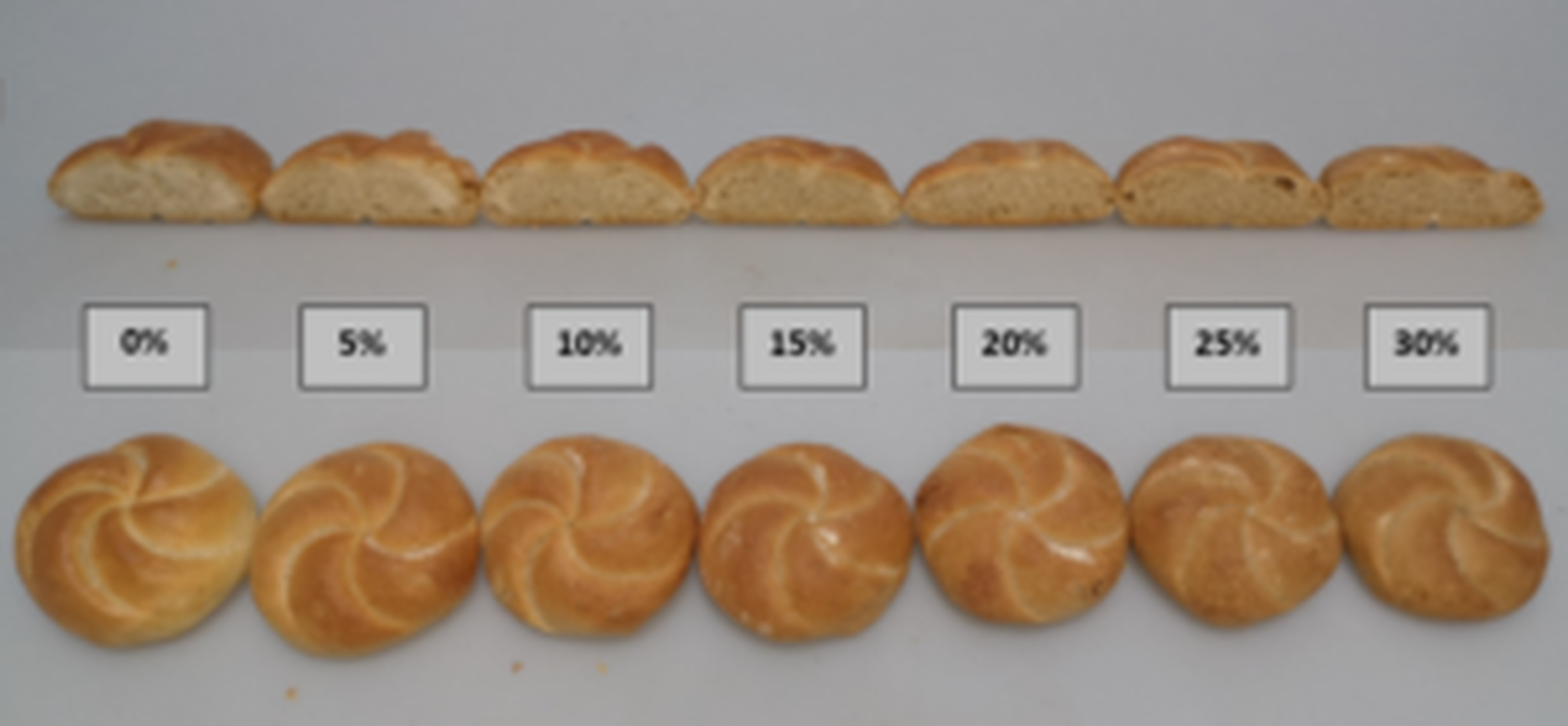Die Ergebnisse des Backversuches mit der Zugabe von Hirsemehl