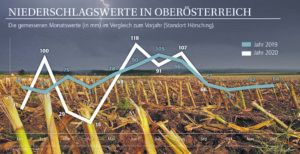 Mit dem Niederschlag war es heuer ein Auf und Ab. Für Mais, Rübe und Co. kam der Regen aber zur rechten Zeit.
