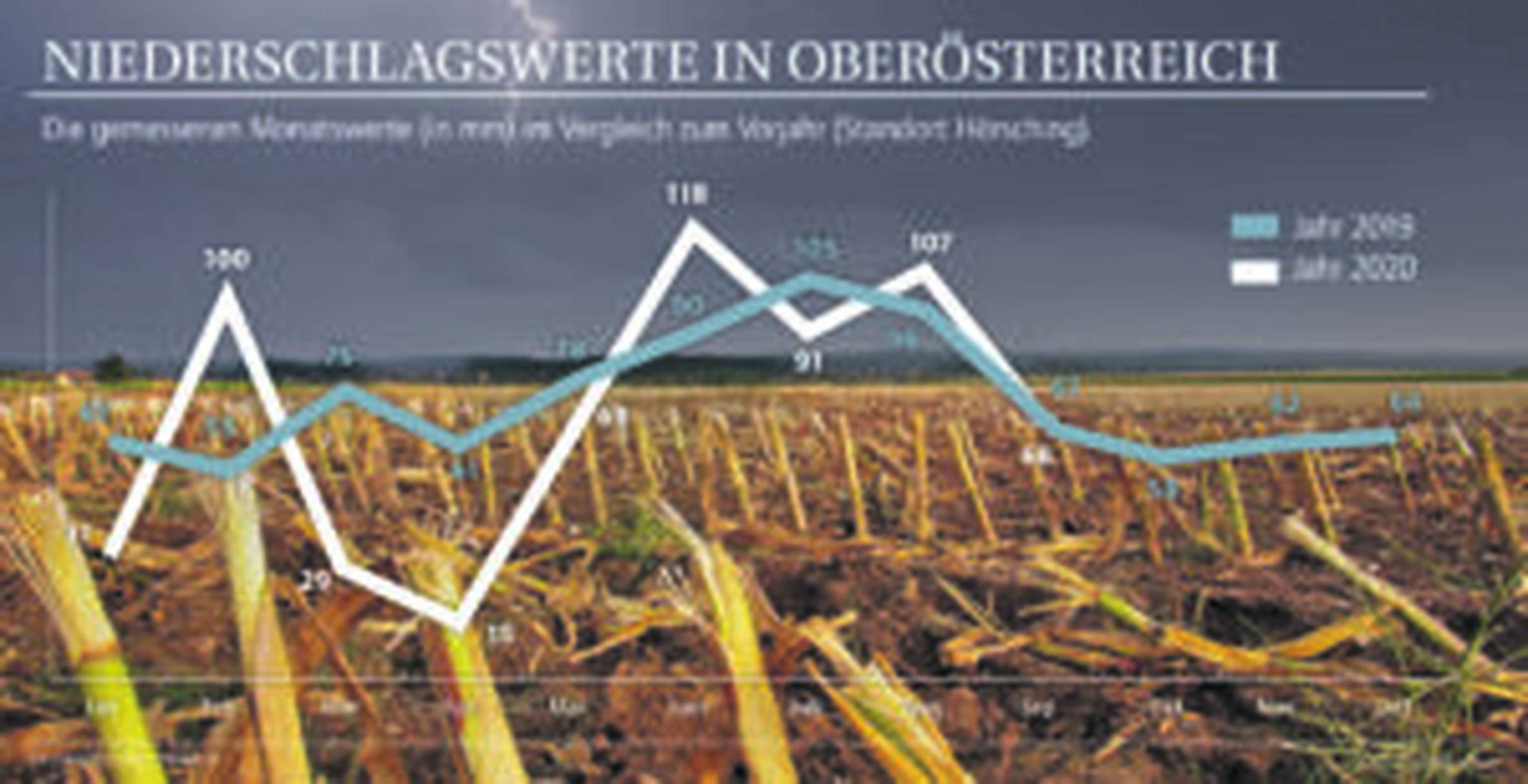 Mit dem Niederschlag war es heuer ein Auf und Ab. Für Mais, Rübe und Co. kam der Regen aber zur rechten Zeit.