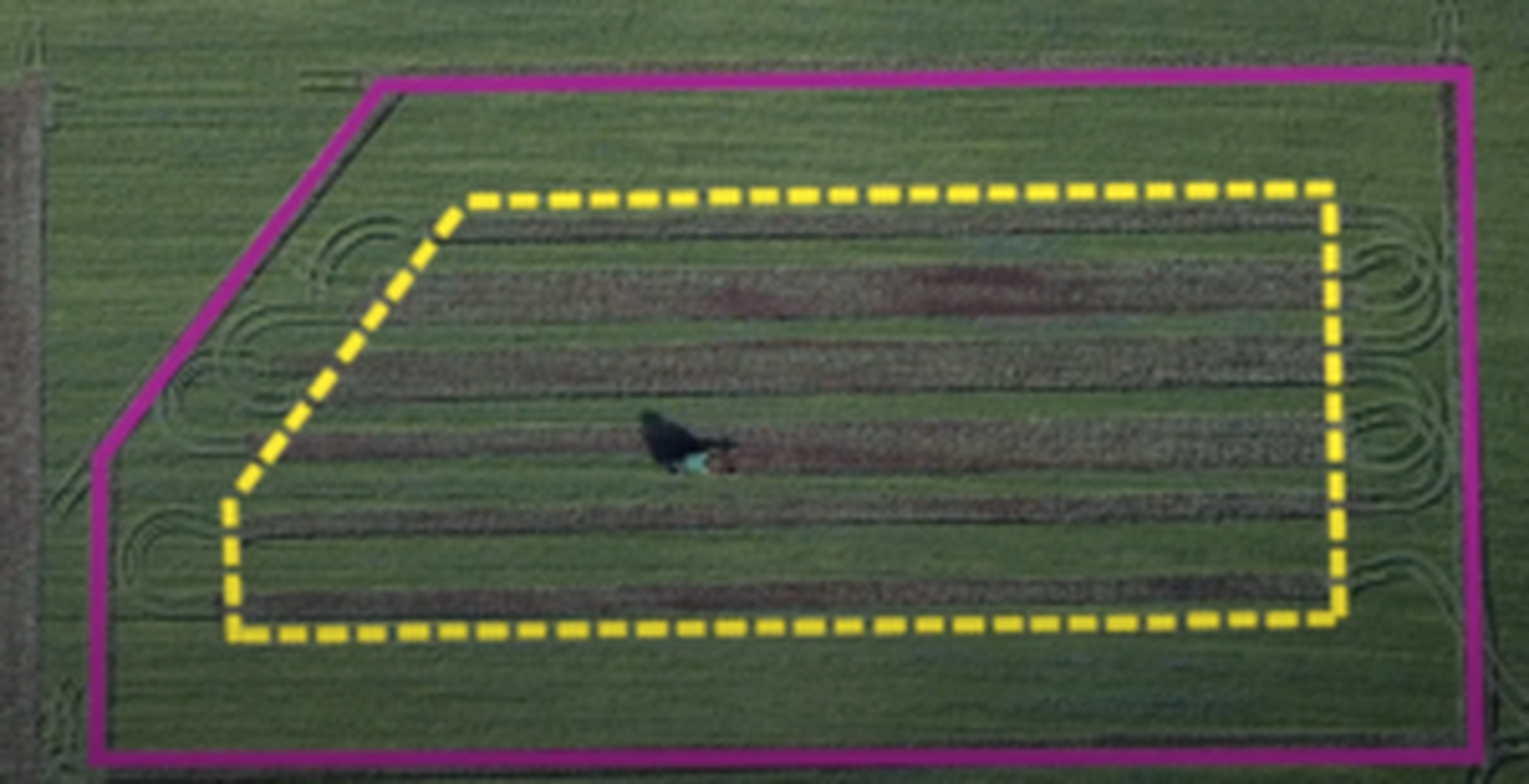 Variante mit Click-Go Autosetup