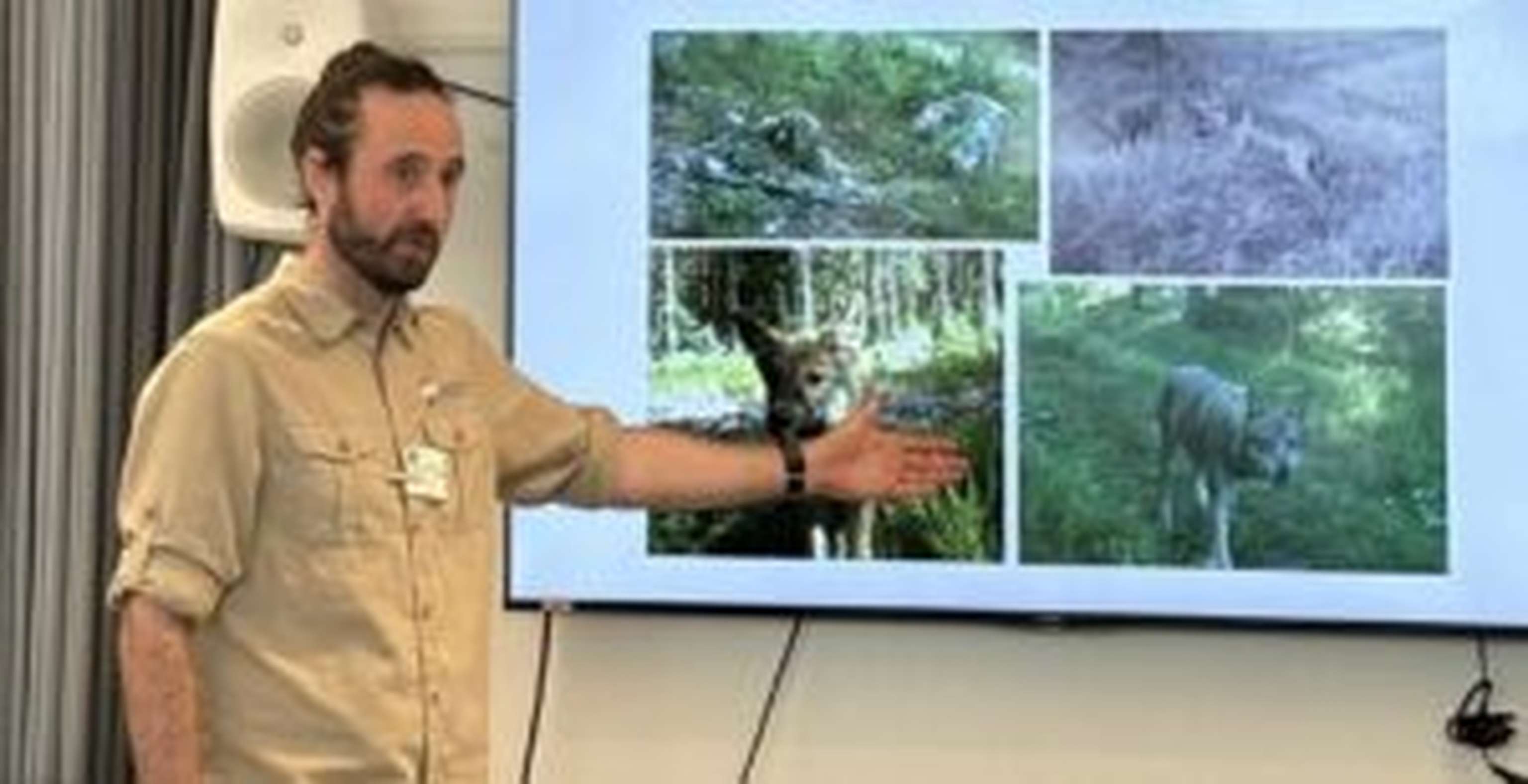 Wolfsexperte Mallwitz zeigt Bilder von Wölfen, die in Fotofallen getappt sind.