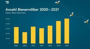 Grafik Anzahl Bienenvölker