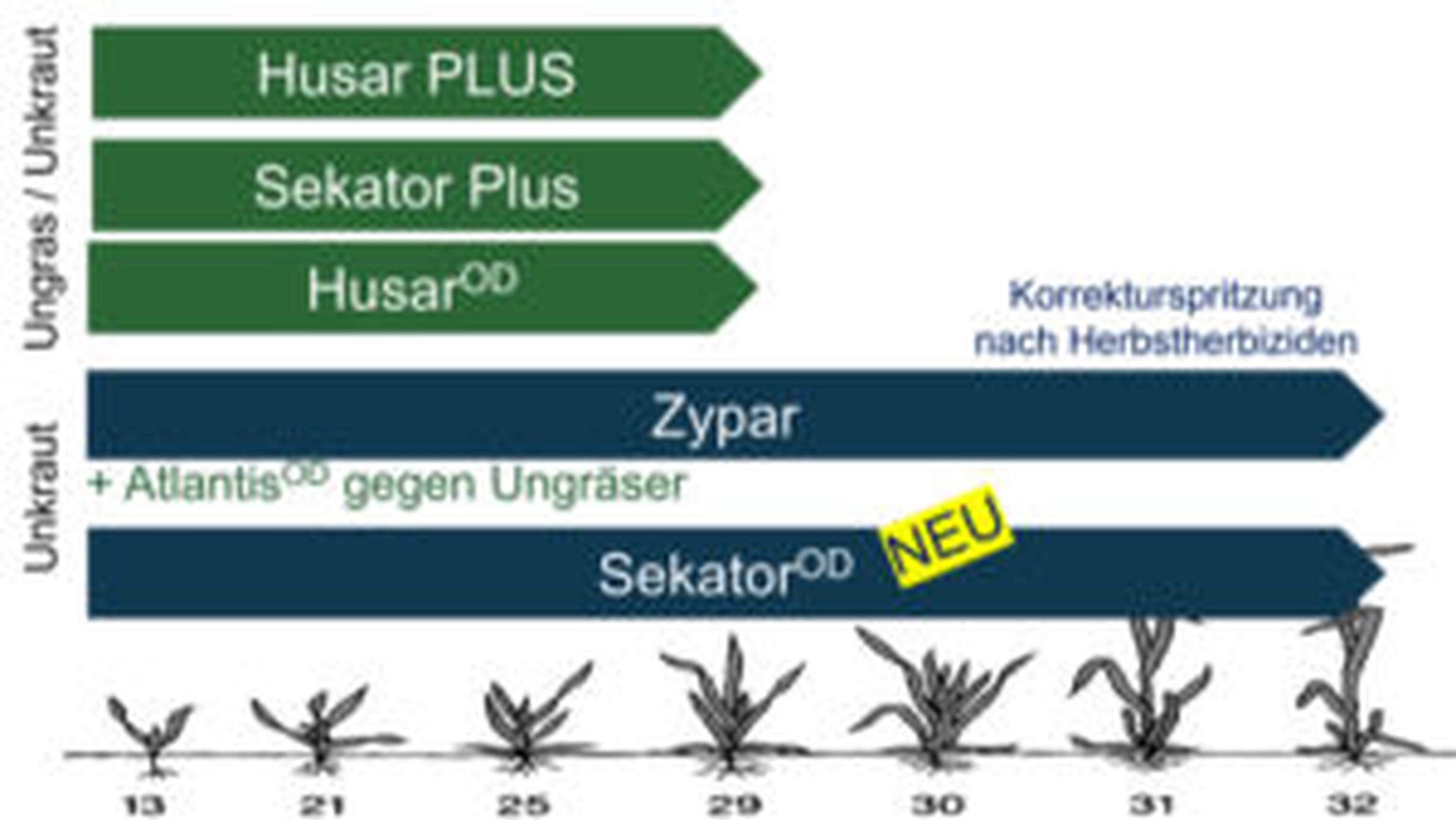 SekatorOD ist neu und wird heuer ohne Mero angeboten.