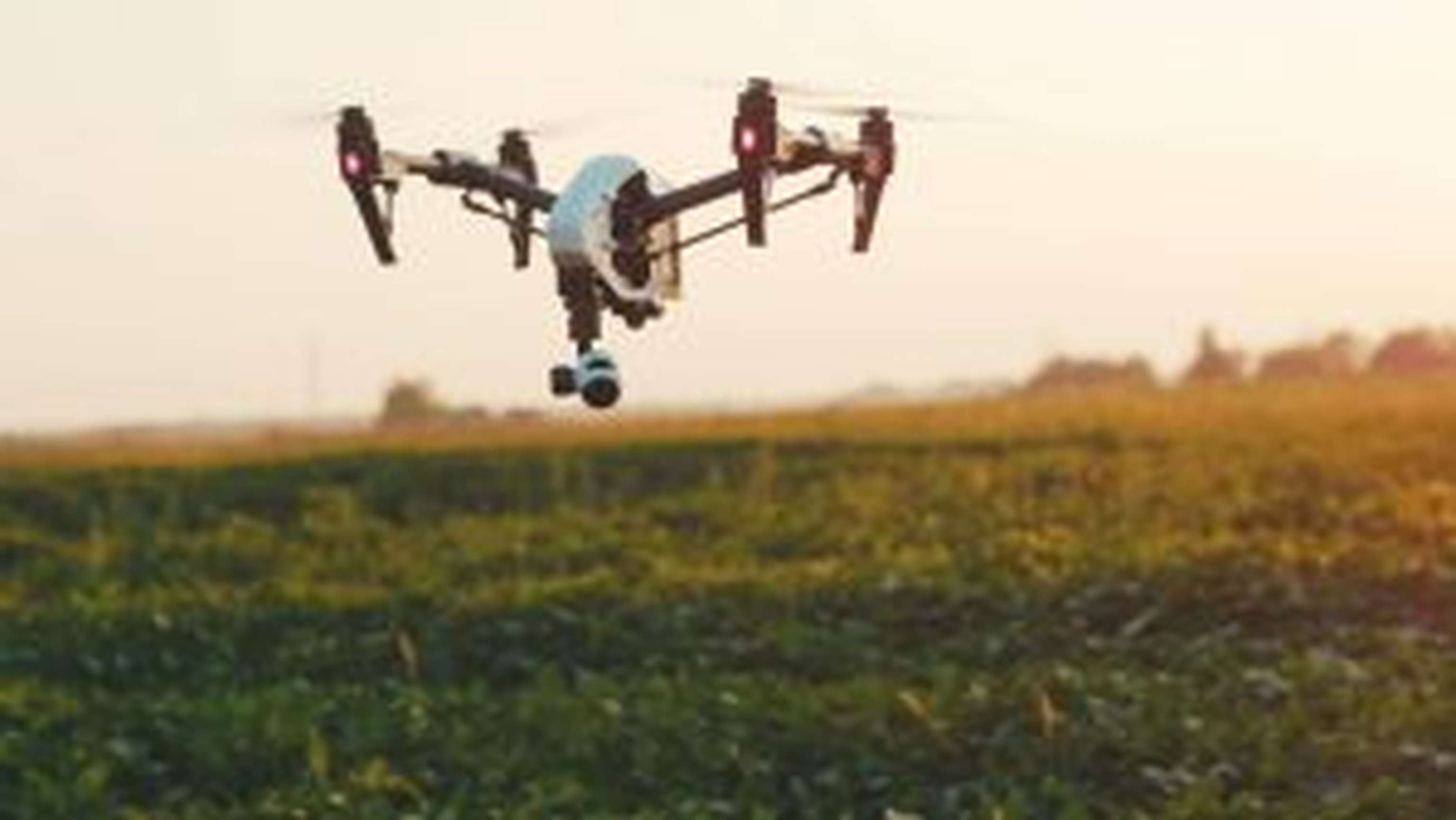 Smarte Landwirtschaft eröffnet neue nachhaltige Wege.