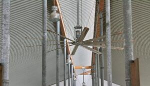 Ausreichend dimensionierte Ventilatoren oder Beregner steigern in Rinder- und Schweineställen das Wohlbefinden.