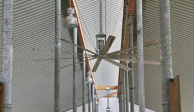 Ausreichend dimensionierte Ventilatoren oder Beregner steigern in Rinder- und Schweineställen das Wohlbefinden.