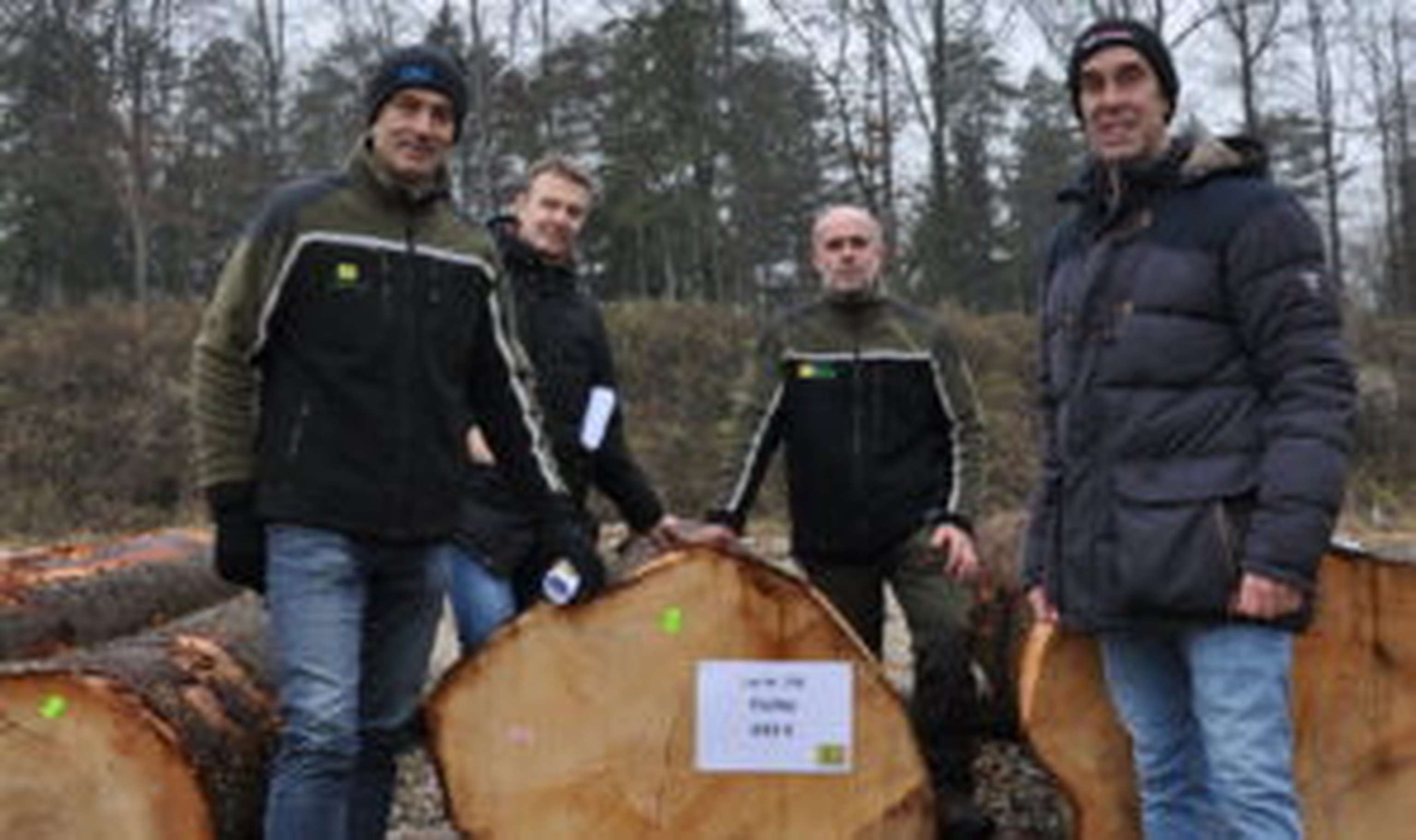 Franz Kepplinger, Andreas Hofbauer (beide OÖ Waldverband), Projektleiter Martin Riedl und Waldhelfer Daniel Stockinger (v.l.) mit dem Siegerstamm