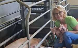 Bezirksobfrau Edeltraud Huemer aus Rohr im Kremstal