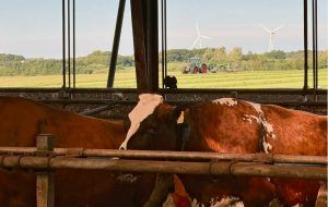 Landwirtschaft in Dänemark