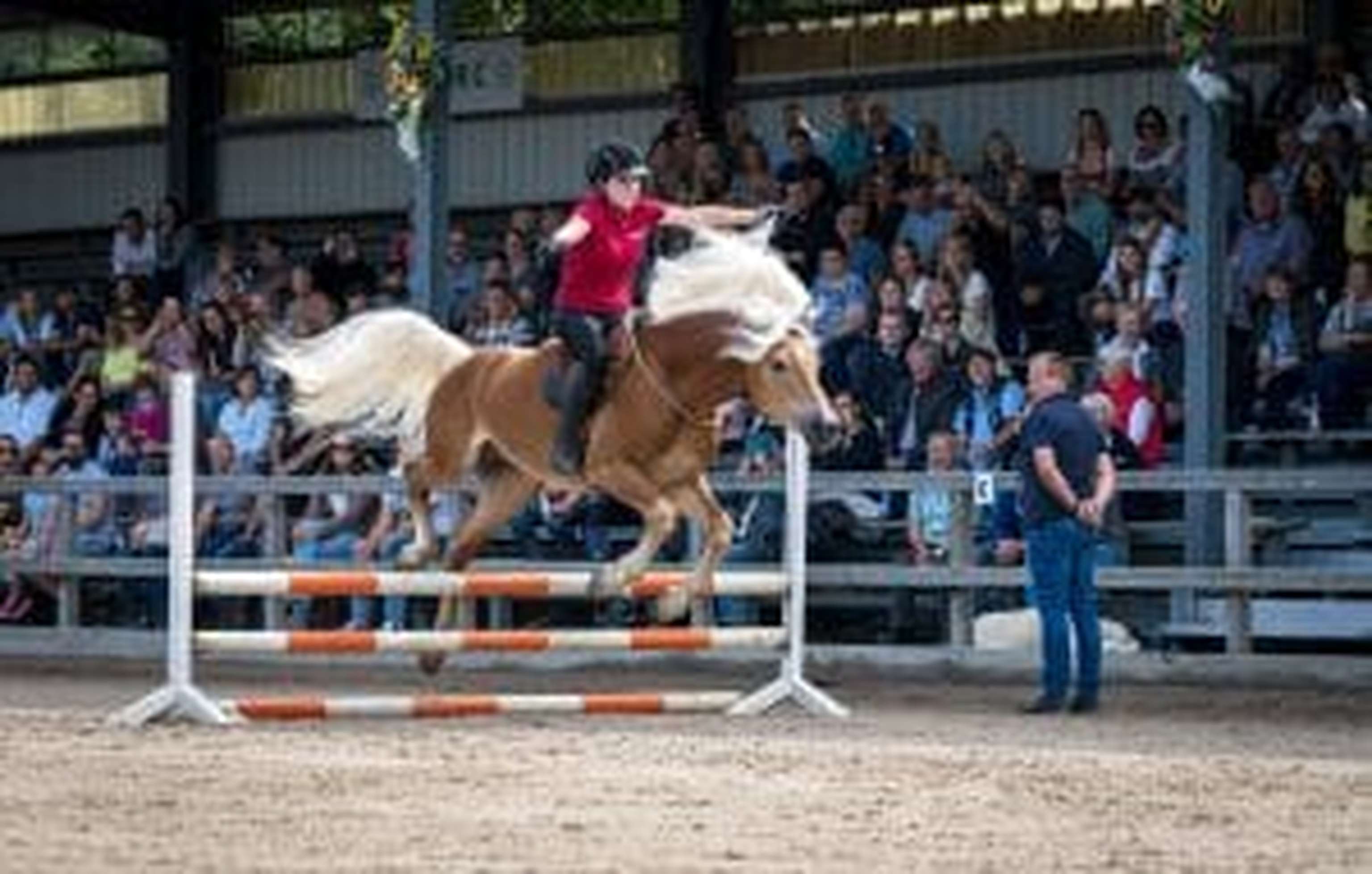 Am Sonntag wurde ein spannendes Schauprogramm geboten.