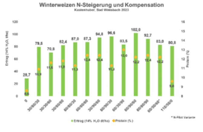 Ergebnis Weizendüngungsversuch am Standort Kastenhuber, Bad Wimsbach (Mahlweizensorte) 2023