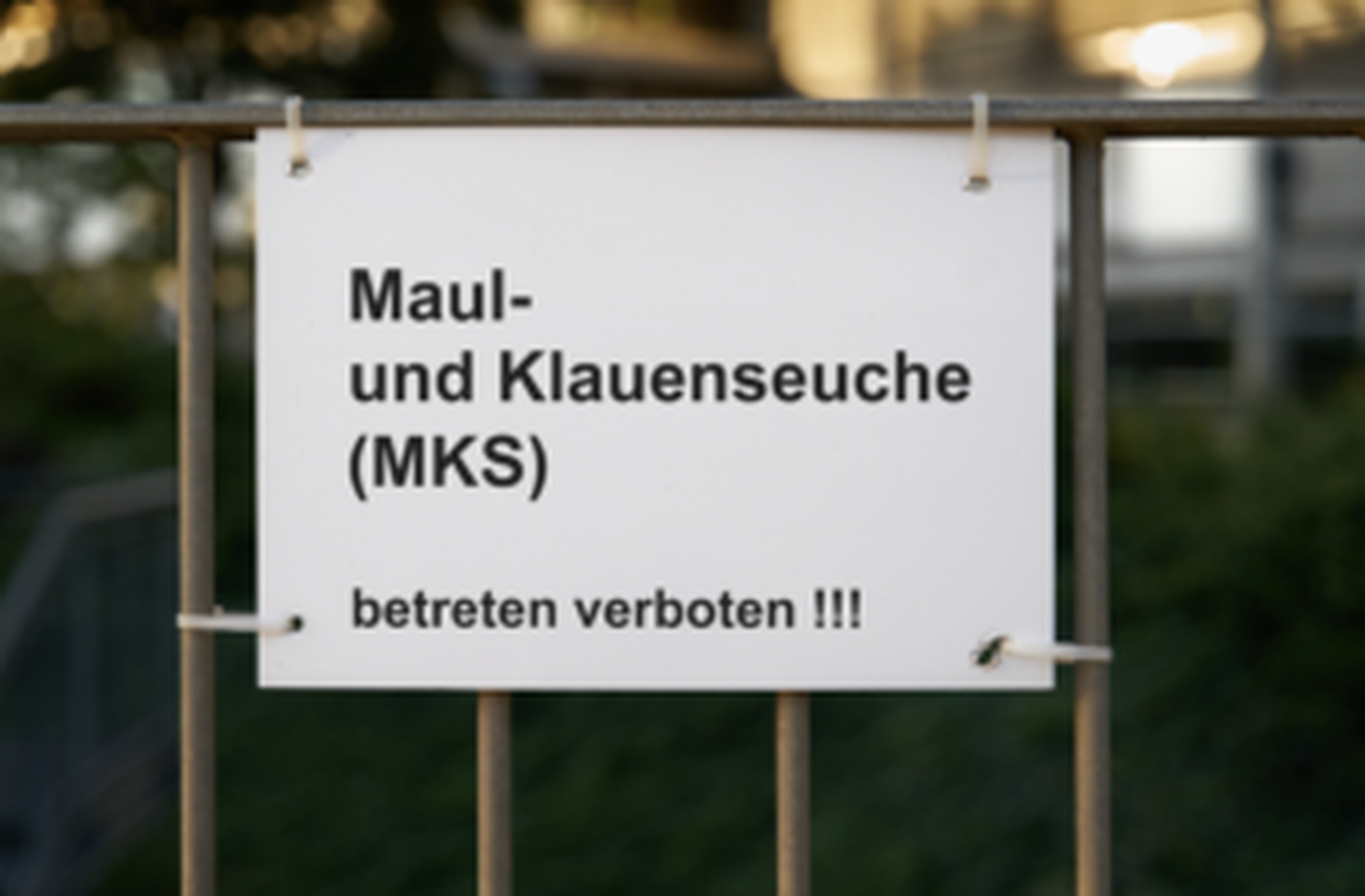 Ein Schreckensszenario