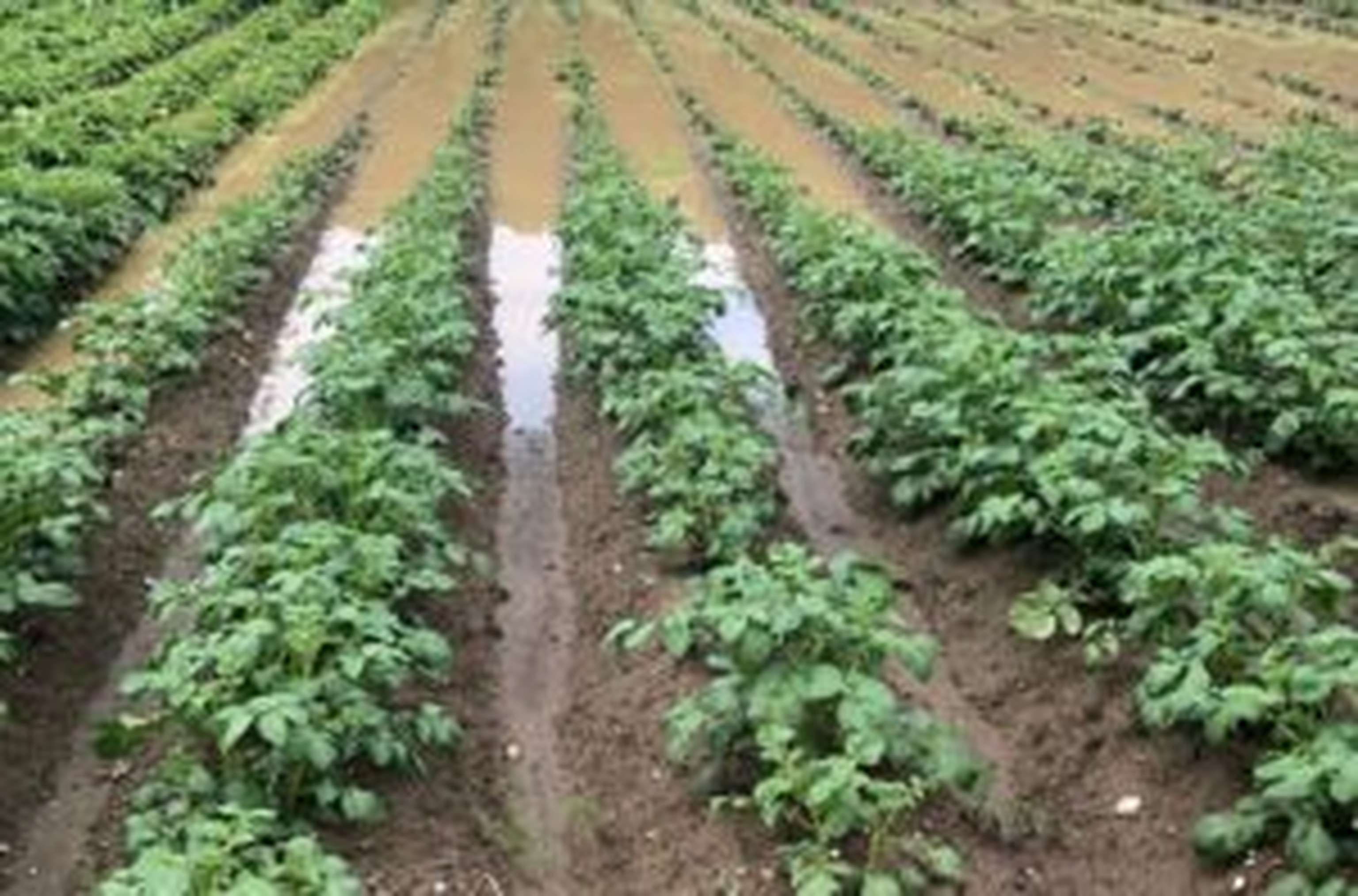 Starkregenereignisse und Überflutungen wurden ebenfalls häufig als Herausforderung genannt.