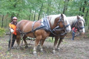 Verschiedenste Möglichkeiten der Holzbringung wurden demonstriert: Von der Pferderückung über den Seilkran bis hin zur ferngesteuerten Forstraupe Moritz.