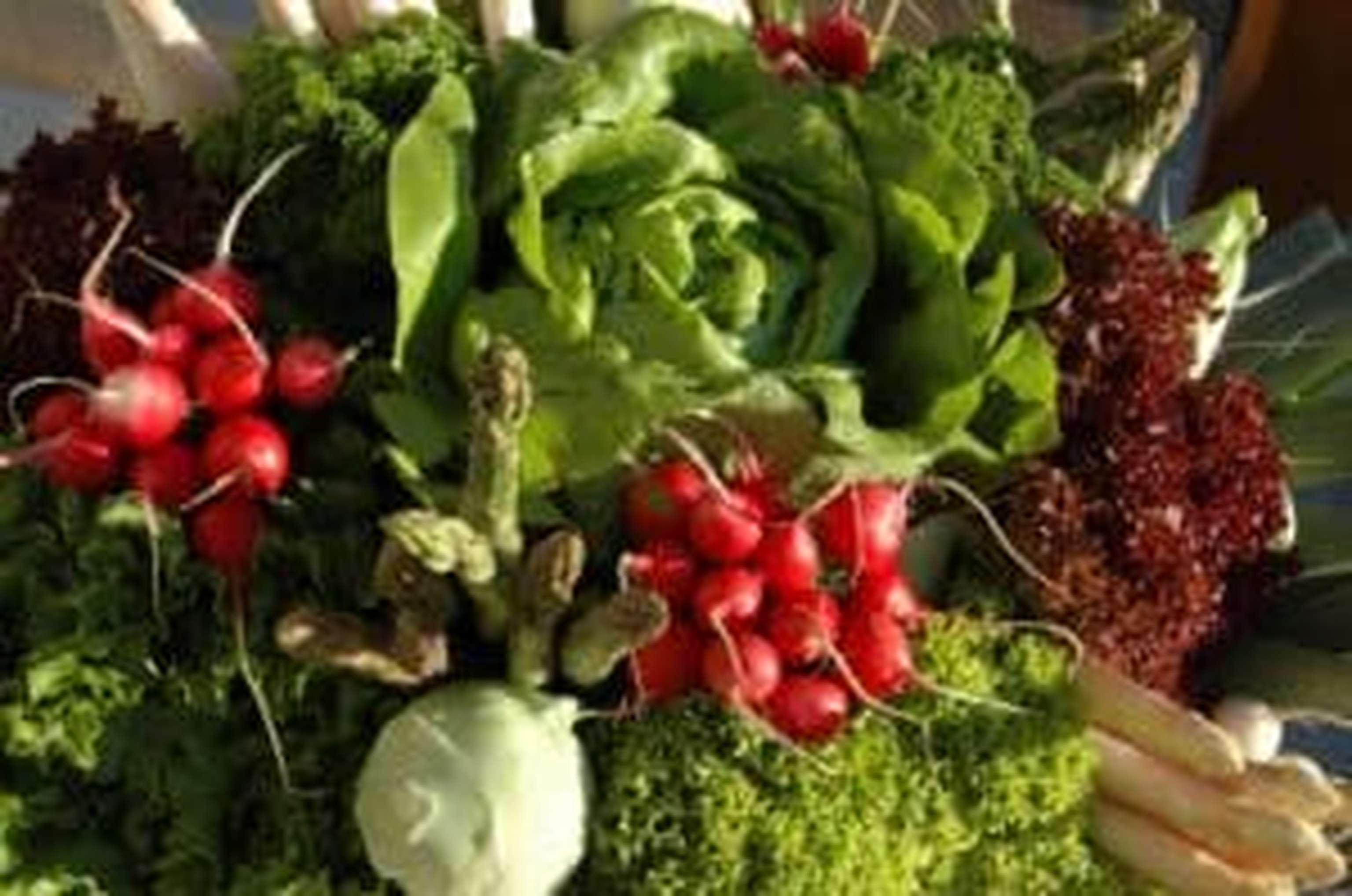 Heimisches Frühlingsgemüse zeigt sich heuer von der besten Seite.