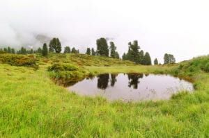 Der revitalisierte Almtümpel auf der Hochalm