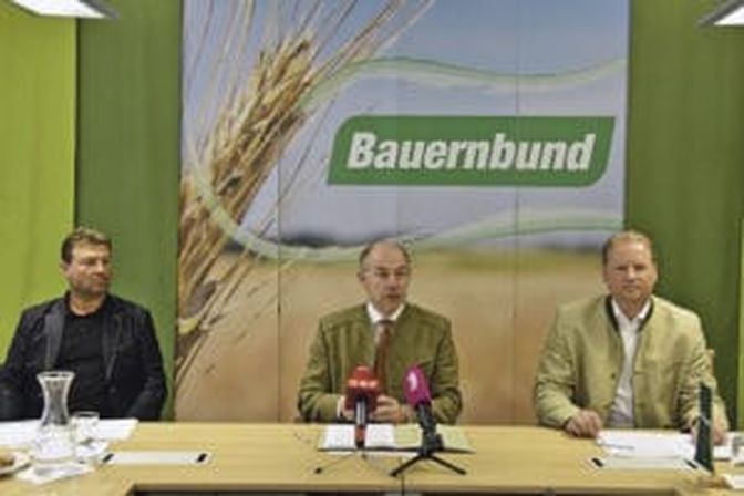Von links: Christian Mayr, Max Hiegelsberger, Wolfgang Wallner