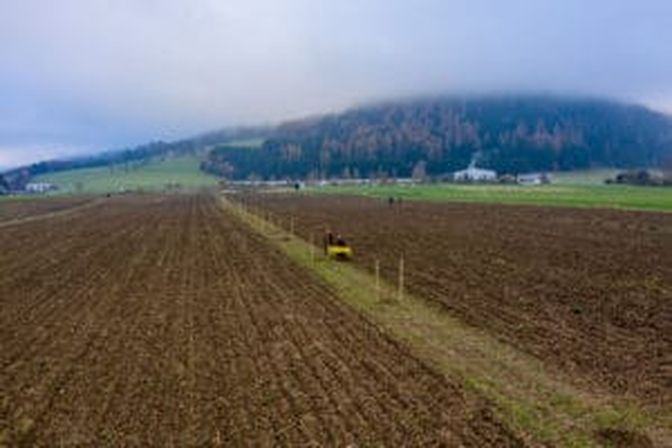 Die Schüler bei der Realisierung des Projekts.