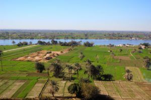 Ägypten erzeugt nur die Hälfte seines Brotgetreides selbst.