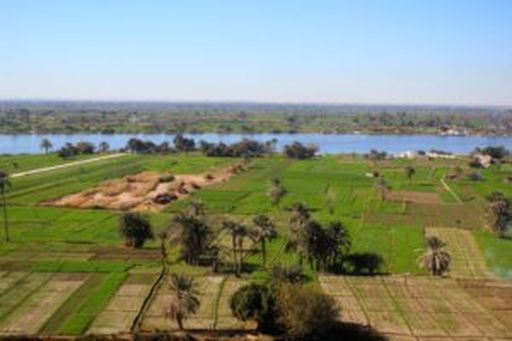 Ägypten erzeugt nur die Hälfte seines Brotgetreides selbst.