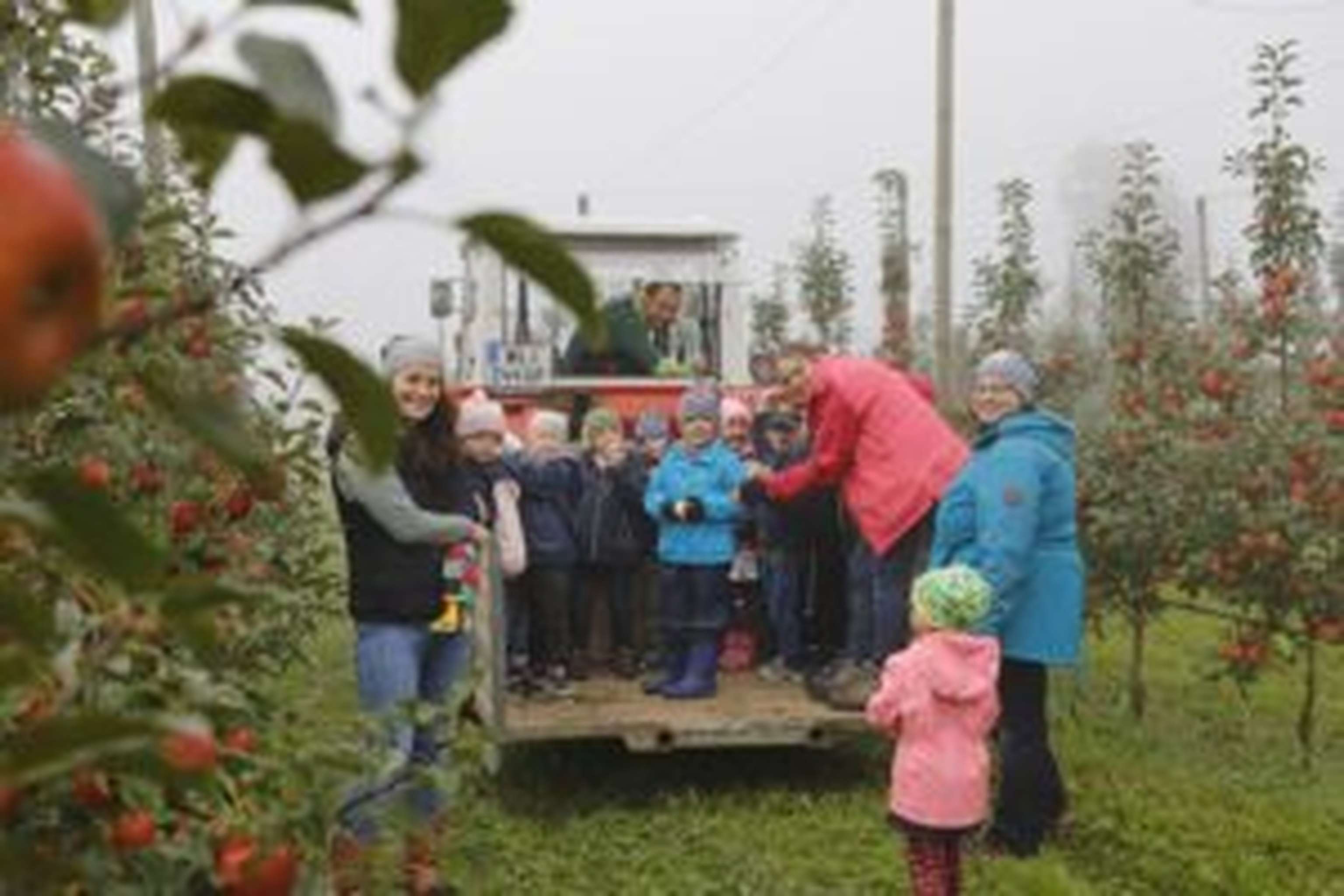 Den am „Open Bauernhof“ teilnehmenden bäuerlichen Familienbetrieben ging es vor allem darum, den Besuchern ein realistisches Bild der Landwirtschaft zu zeigen.