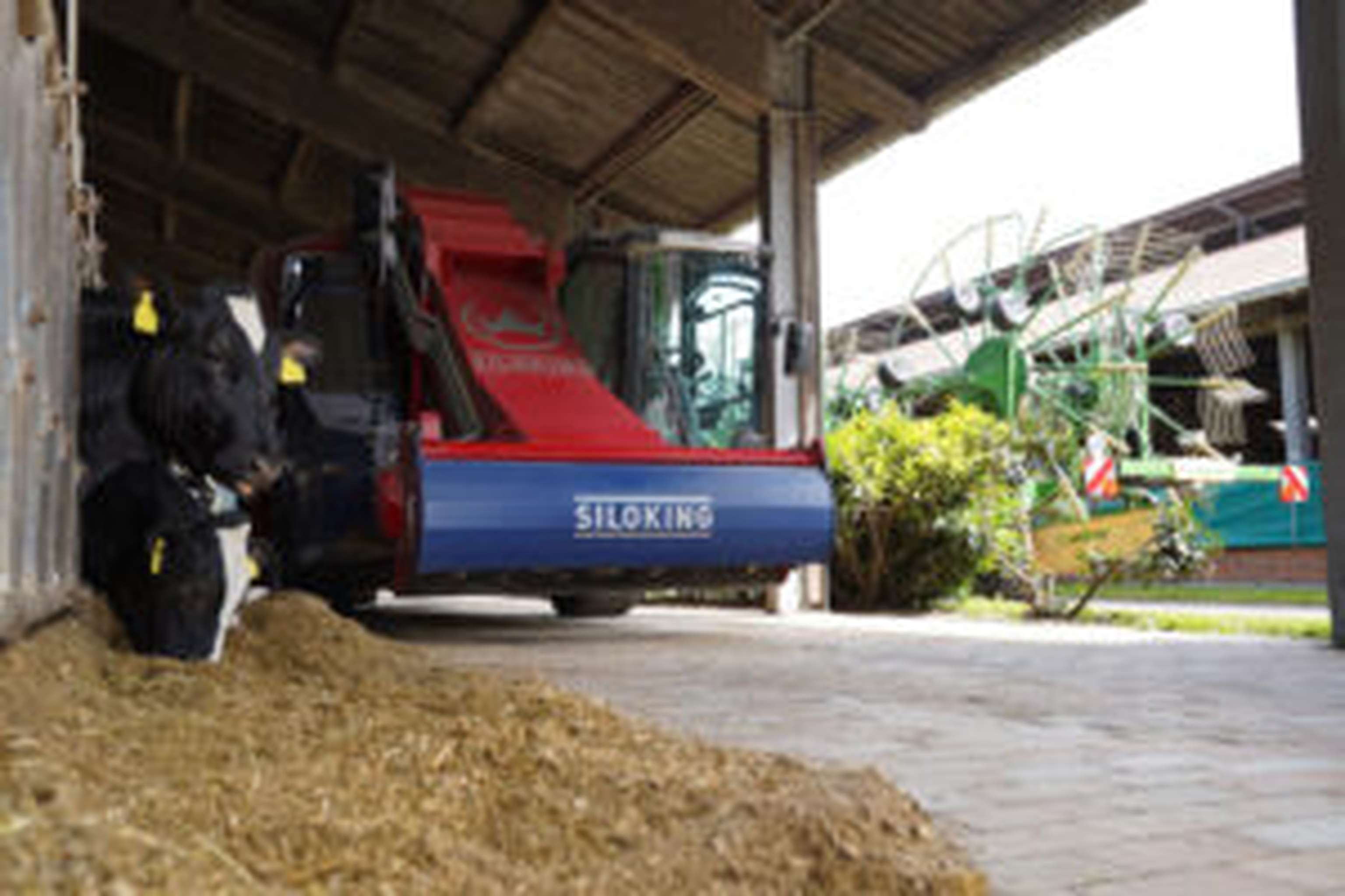Futtervorlage im Milchviehstall mit selbstfahrendem Futtermischwagen