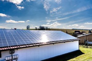 Rund 500.000 kWh Strom produziert dietmar Hipp auf seinen Stall- und Hallendächern. wurden Modul