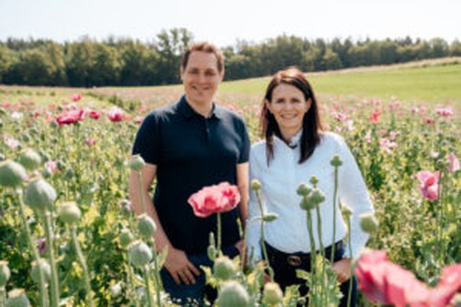 Familienfotos bei Fotoshooting in Vöcklabruck in Oberösterreich