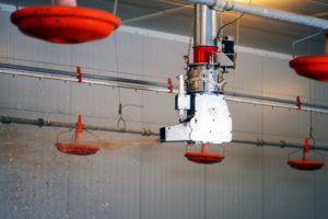 Das vollautomatische Einstreusystem Strohmatic Air ASD von Schauer Agrotronic