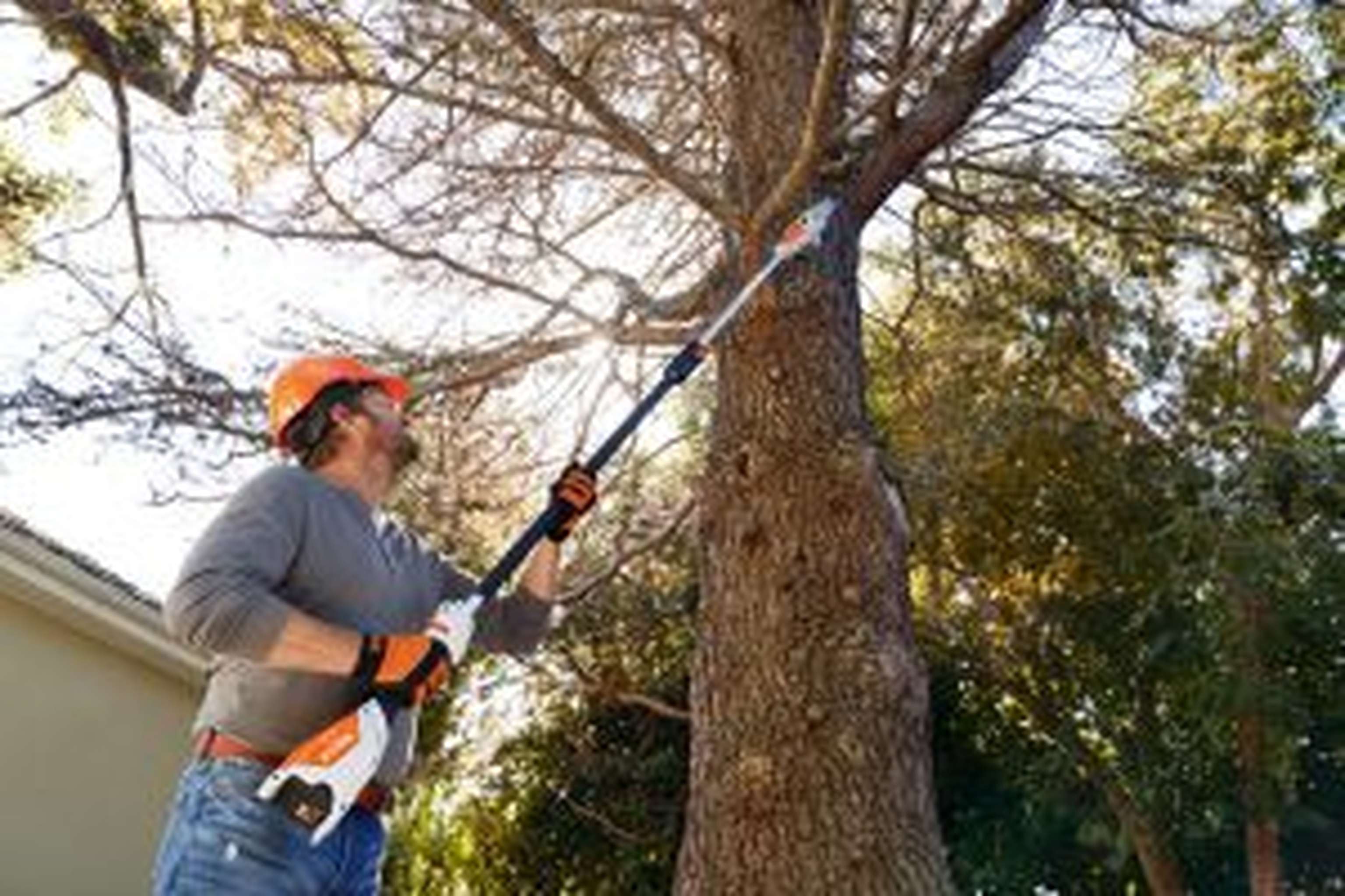 Der Akku-Hoch-Entaster Stihl HTA 50
