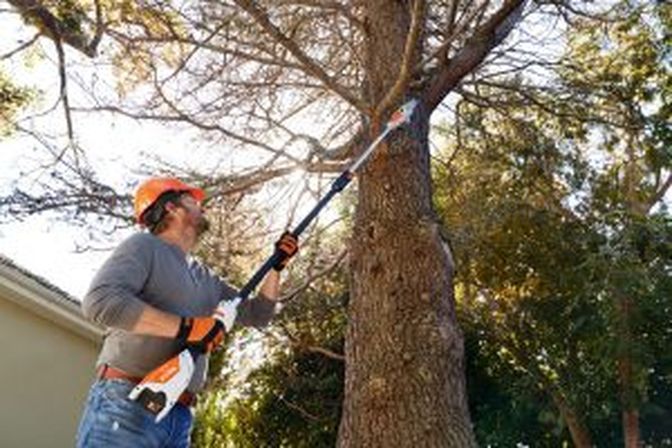 Der Akku-Hoch-Entaster Stihl HTA 50