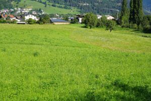 Die geplante Beregnungsanlage in Prutz soll künftig landwirtschaftliche Flächen im Ausmaß von rund 150 Fußballfeldern (107 Hektar) versorgen.
