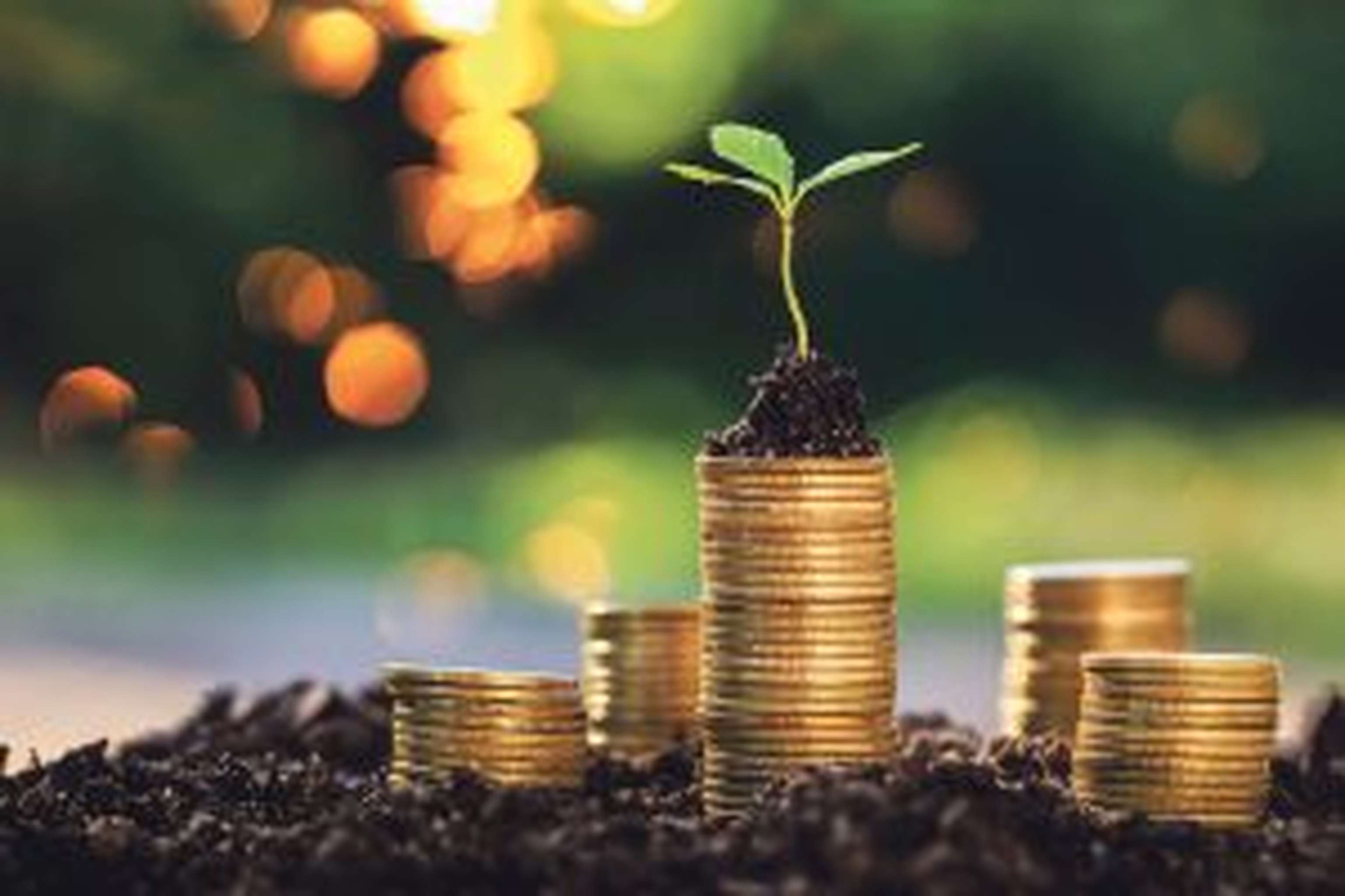 Die NV setzt auf nachhaltige Veranlagung.