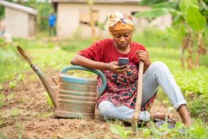 Ghana versucht, Landwirtschaft wieder attraktiv zu machen, analog und auch digital.