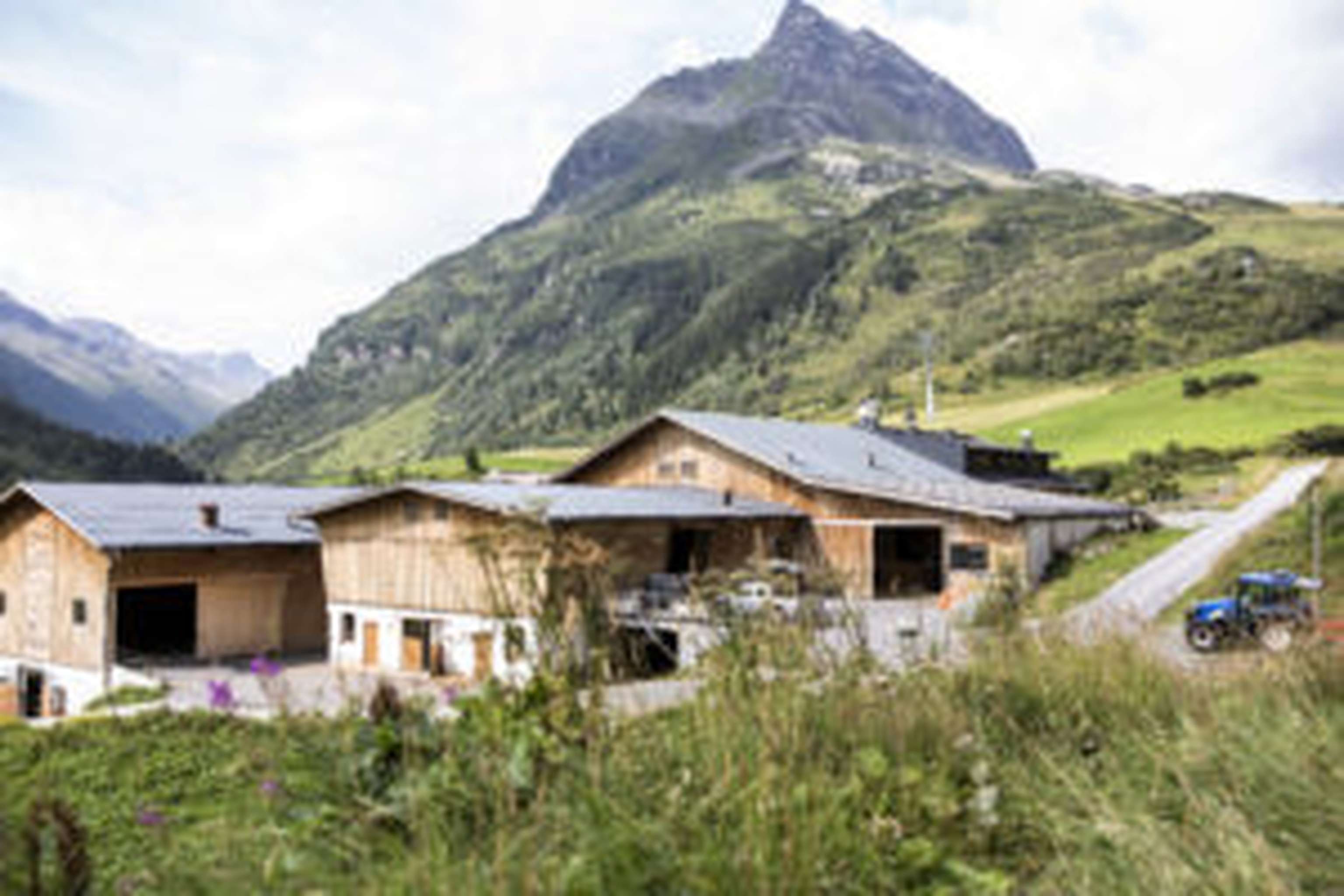 Hof und Alm sind bei den Hubers praktisch eins.