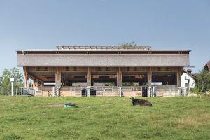 Der Wagyu-Stall in Atzbach