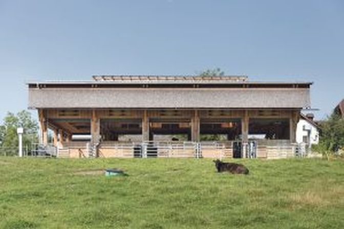 Der Wagyu-Stall in Atzbach